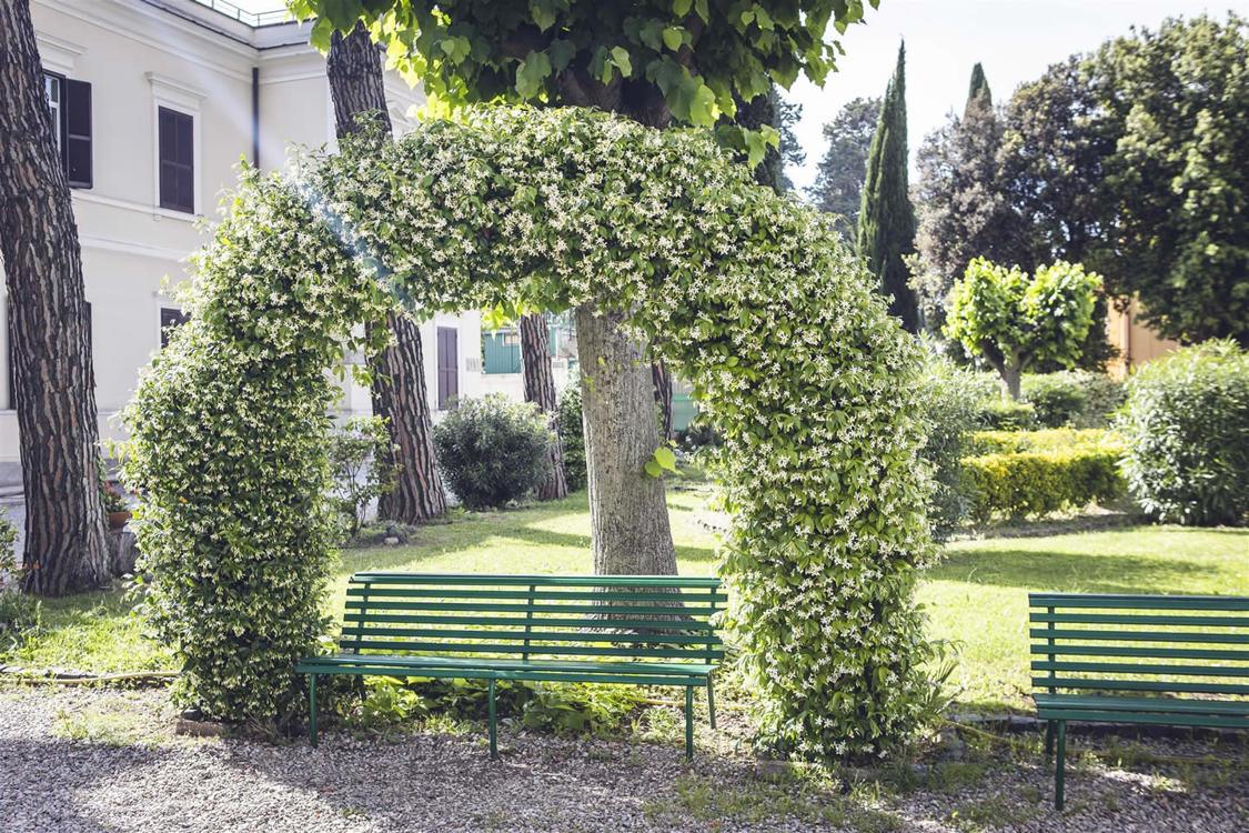 Отдых Hotel San Luigi - Residenza Gemelli - Jardín