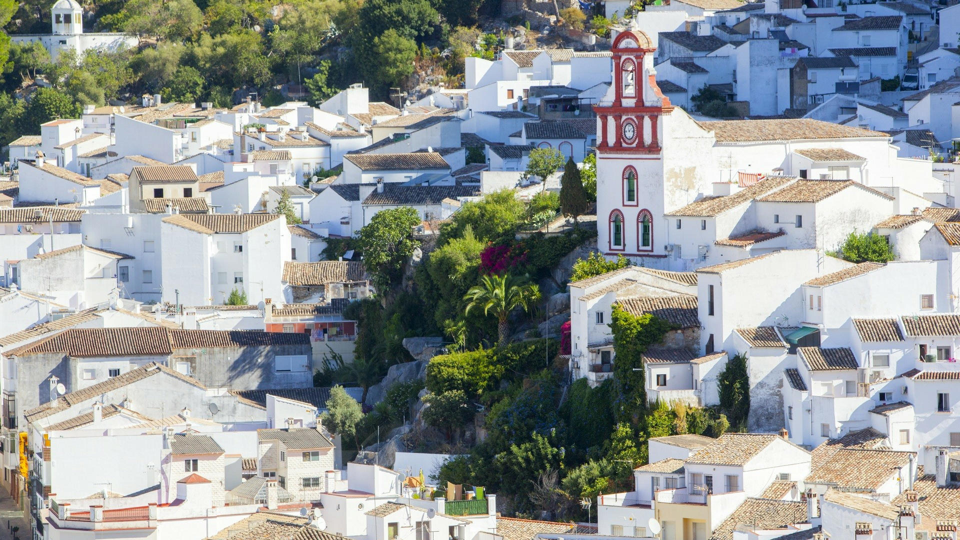 El viaje Cádiz - Tarifa* - Sanlúcar de Barrameda - Vejer de la Frontera - Jerez de la Frontera - Medina Sidonia, saliendo de Madrid
