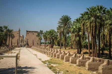 Тур Luxor - Edfu - Asuán - El Cairo - Фото 2