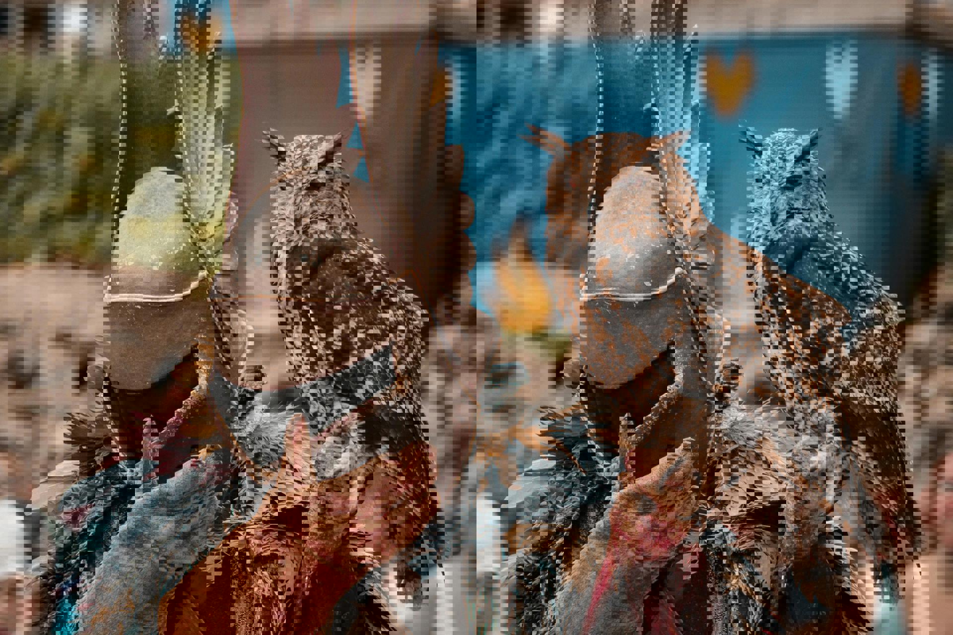 El viaje Escorial - Ávila - Madrid - Segovia, saliendo de Madrid