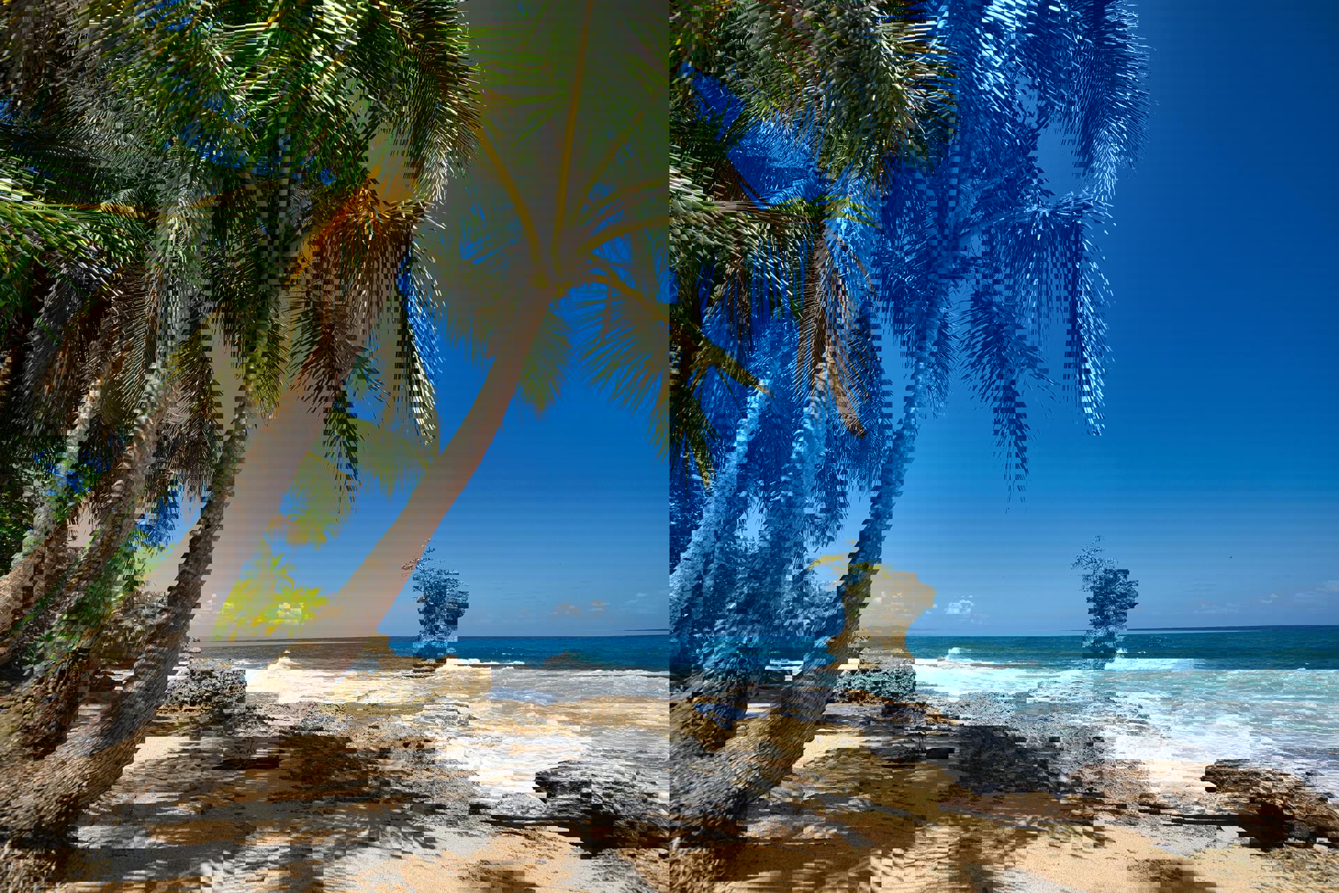 El viaje San José - Monteverde - Manuel Antonio parque, saliendo de Madrid