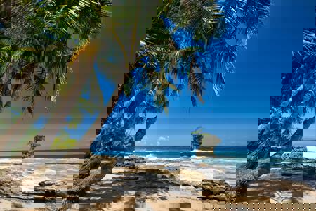 Viaje desde Madrid San José - Monteverde - Manuel Antonio parque