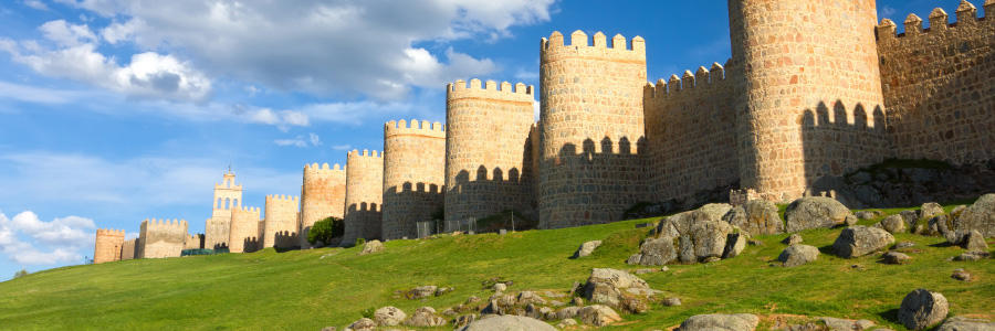 El viaje Valladolid - Ávila - Madrigal de las Altas Torres * - Arévalo * - Medina del Campo * - Zamora - Tordesillas - Palencia - Medina de Rioseco, saliendo de Madrid