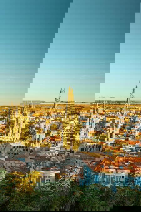 Viaje desde Madrid, Alicante, Almería, Badajoz, Cáceres, Cádiz, Cartagena, Ciudad Real, Córdoba, El Ejido, El Puerto de Santa María, Elche, Granada, Jerez de la Frontera, Linares, Málaga, Mérida, Móstoles, Murcia, Plasencia, Valencia, Sevilla Aranda de Duero - Burgo de Osma - Covarrubias - Burgos - Ojo Guareña* - Medina de Pomar* - Frías* - Oña - Poza de la Sal - Briviesca