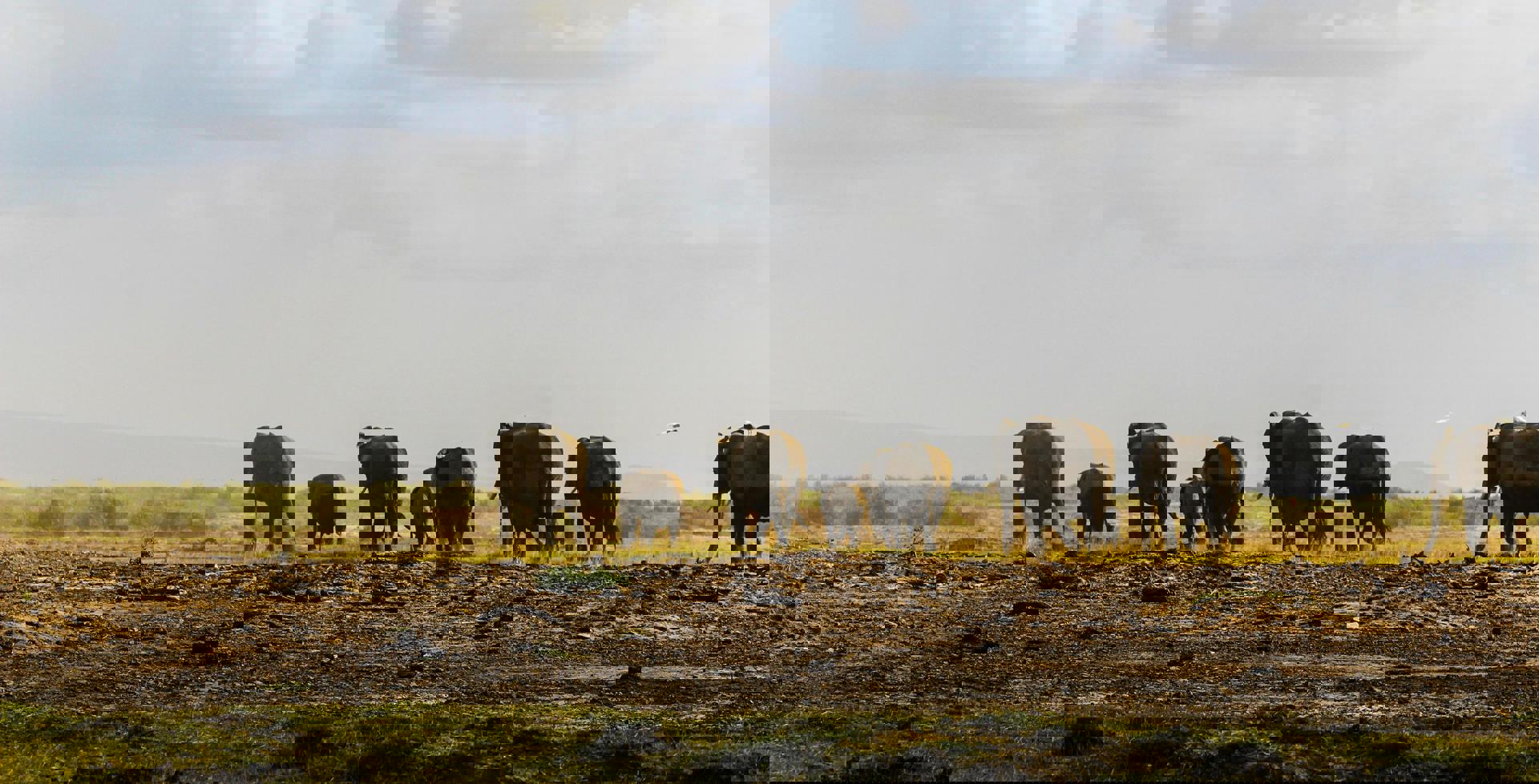 El viaje Nairobi - Lago Nakuru - Masái Mara - Lago Naivasha, saliendo de Madrid