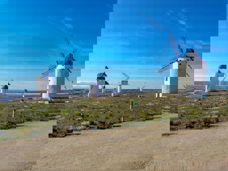 Viaje desde Madrid, Alicante, Almería, Badajoz, Cáceres, Cádiz, Cartagena, Ciudad Real, Córdoba, El Ejido, El Puerto de Santa María, Elche, Granada, Jerez de la Frontera, Linares, Málaga, Mérida, Móstoles, Murcia, Plasencia, Valencia, Sevilla Toledo - Orgaz  - Puerto Lápice  - Campo de Criptana - Ciudad Real* - Almagro* - Tablas de Daimiel* - Puy du Fou