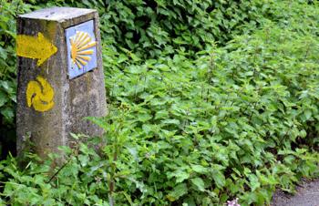 Тур Santiago de Compostela - Фото 3