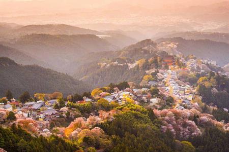 Тур Osaka - Kioto - Nara - Hakone - Takayama - Tokio - Фото 8