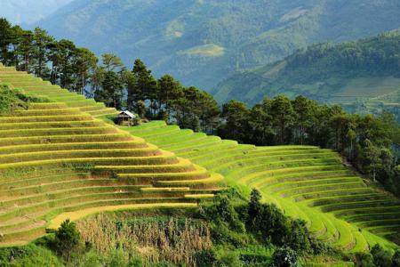 Viaje desde Madrid Saigón - Hué - Hoi An - Hanoi