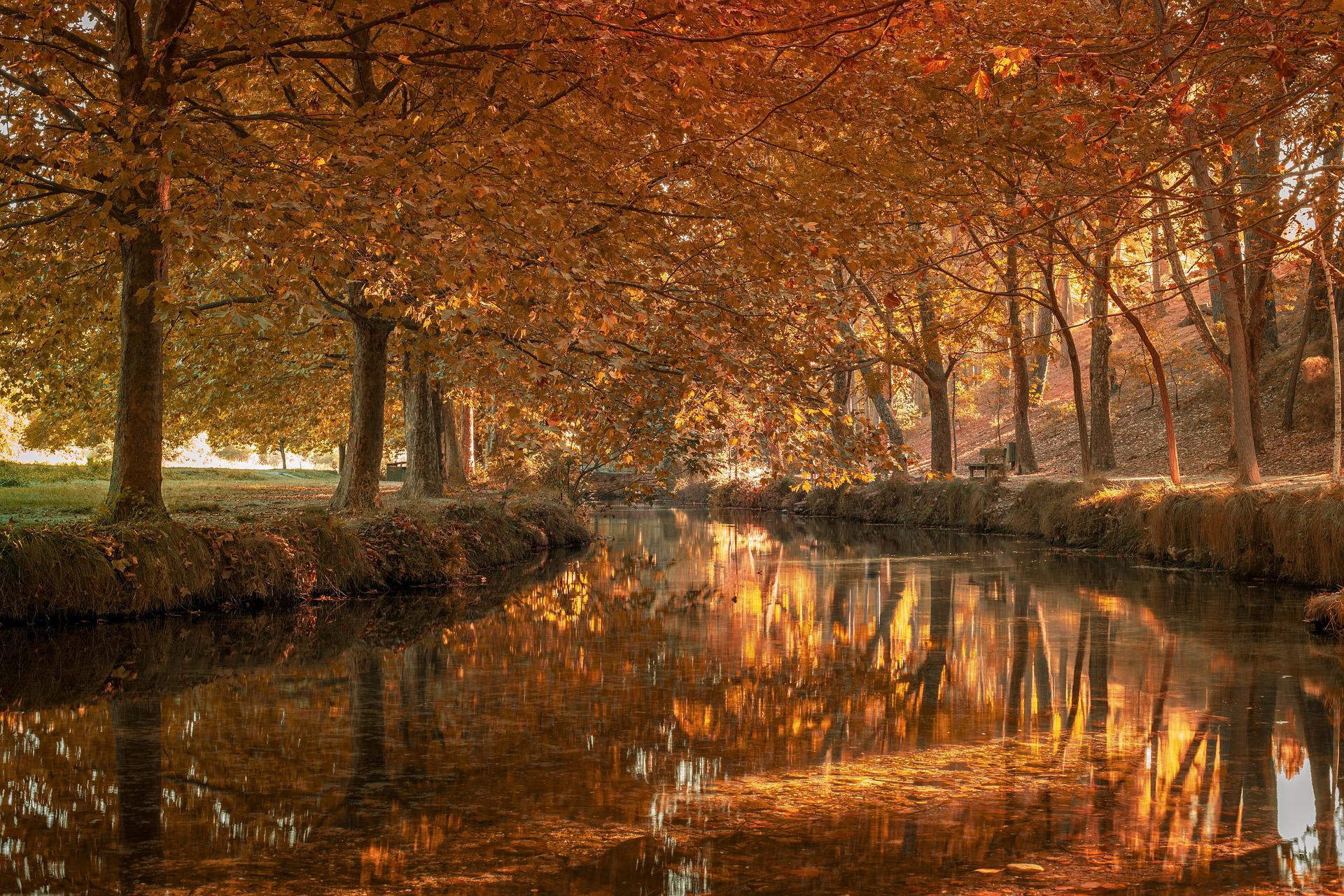 El viaje Estrasburgo - Speyer - Mannheim - Rüdesheim - Coblenza - Colonia - Arnhem - Nimega - Amsterdam, saliendo de Madrid