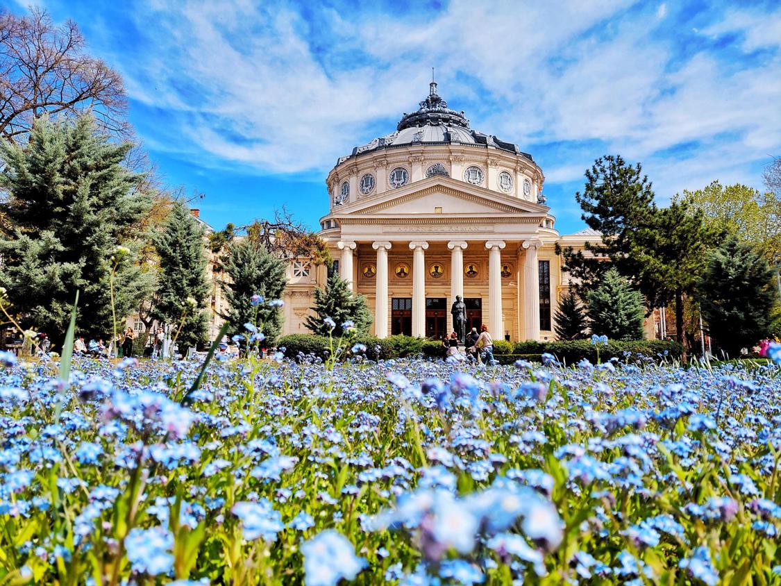 El viaje Bucarest - Piatra Neamț - Cluj-Napoca - Predeal, saliendo de Madrid