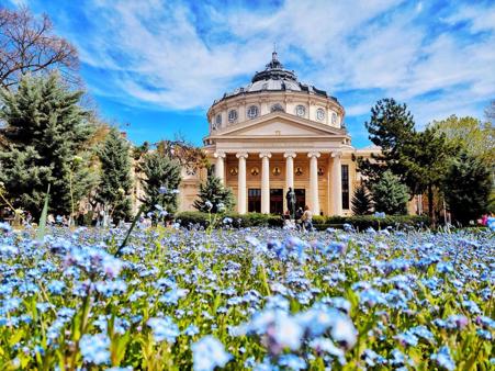 Viaje desde Madrid Bucarest - Piatra Neamț - Cluj-Napoca - Predeal