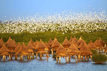 Тур Dakar - Lago Rosa - Parque nacional del Delta del Salum - Isla de Gorea - Saly - Фото 8