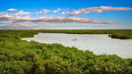 Тур Dakar - Lago Rosa - Parque nacional del Delta del Salum - Isla de Gorea - Saly - Фото 6