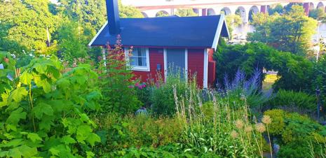 Тур Estocolmo - Uppsala - Фото 1