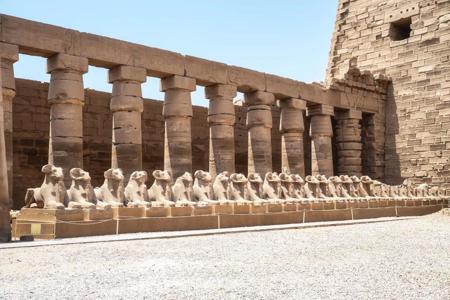 Тур Luxor - Esna - Edfu - Kom Ombo - Asuán - El Cairo - Фото 1