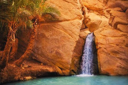 Тур Hammamet - El Jem - Sfax - Matmata - Douz - Chott el Djerid - Tozeur - Sbeitla - Kairouan - Túnez - Cartago - Sidi Bou Said - Фото 5