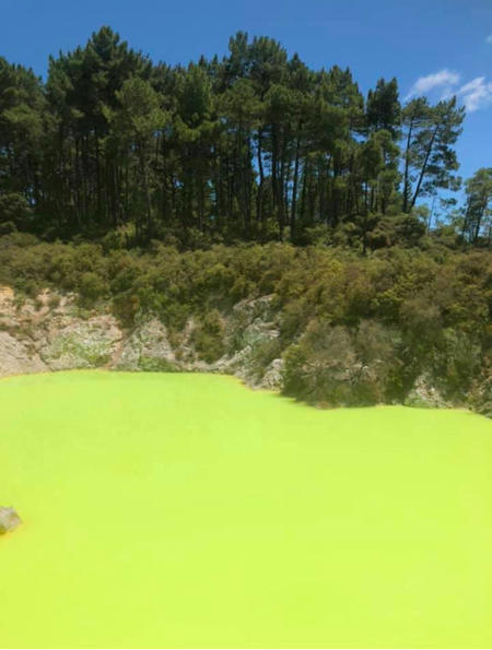 Тур Auckland - Rotorua - Nelson - Christchurch - Monte Cook - Queenstown - Фото 3