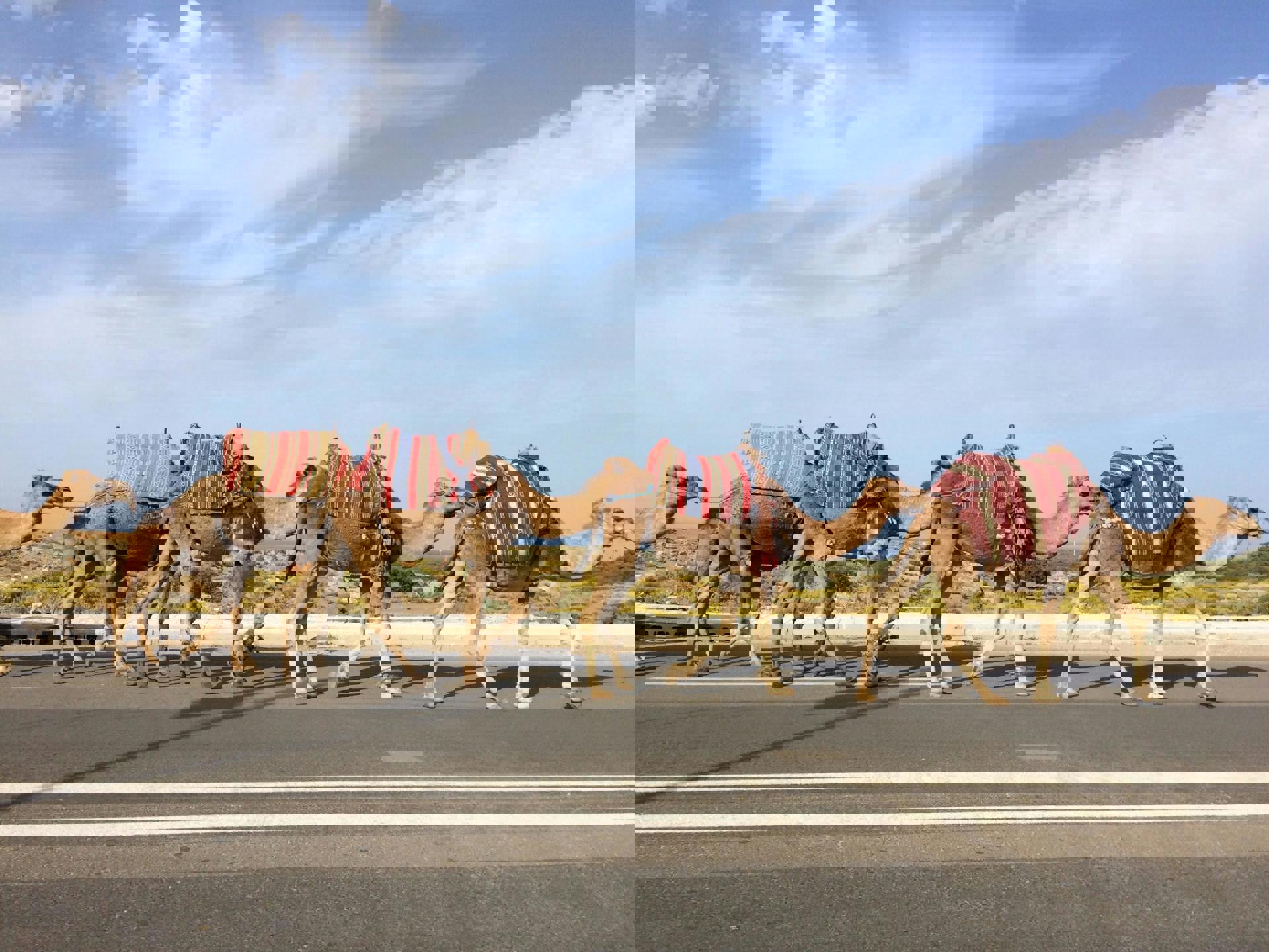 El viaje Tánger - Fez - Rabat - Casablanca - Marrakech, saliendo de Sin transporte