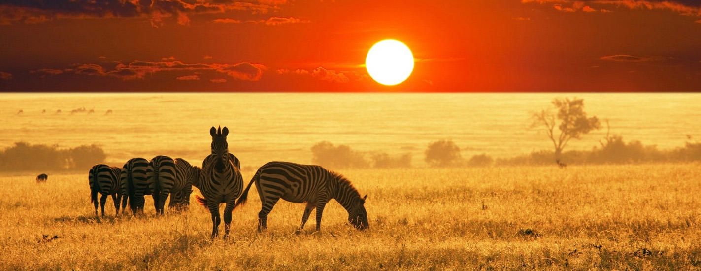 El viaje Nairobi - parque nacional de Aberdare - Lago Nakuru - Masái Mara, saliendo de Barcelona, Madrid