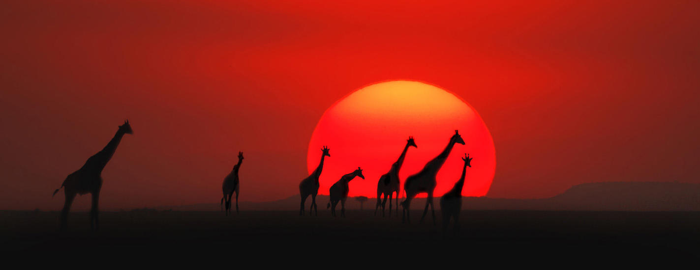 El viaje Lago Naivasha - Masái Mara - Parque nacional de Amboseli, saliendo de Málaga, Barcelona, Bilbao, Madrid, Valencia