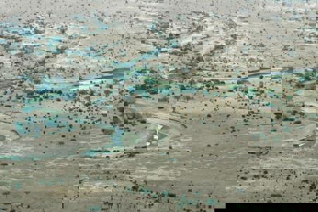 Viaje desde Valencia Arusha - Parque nacional de Tarangire - Parque nacional del Lago Manyara - Karatu - Parque nacional Serengueti - Zona de conservación de Ngorongoro - Zanzíbar