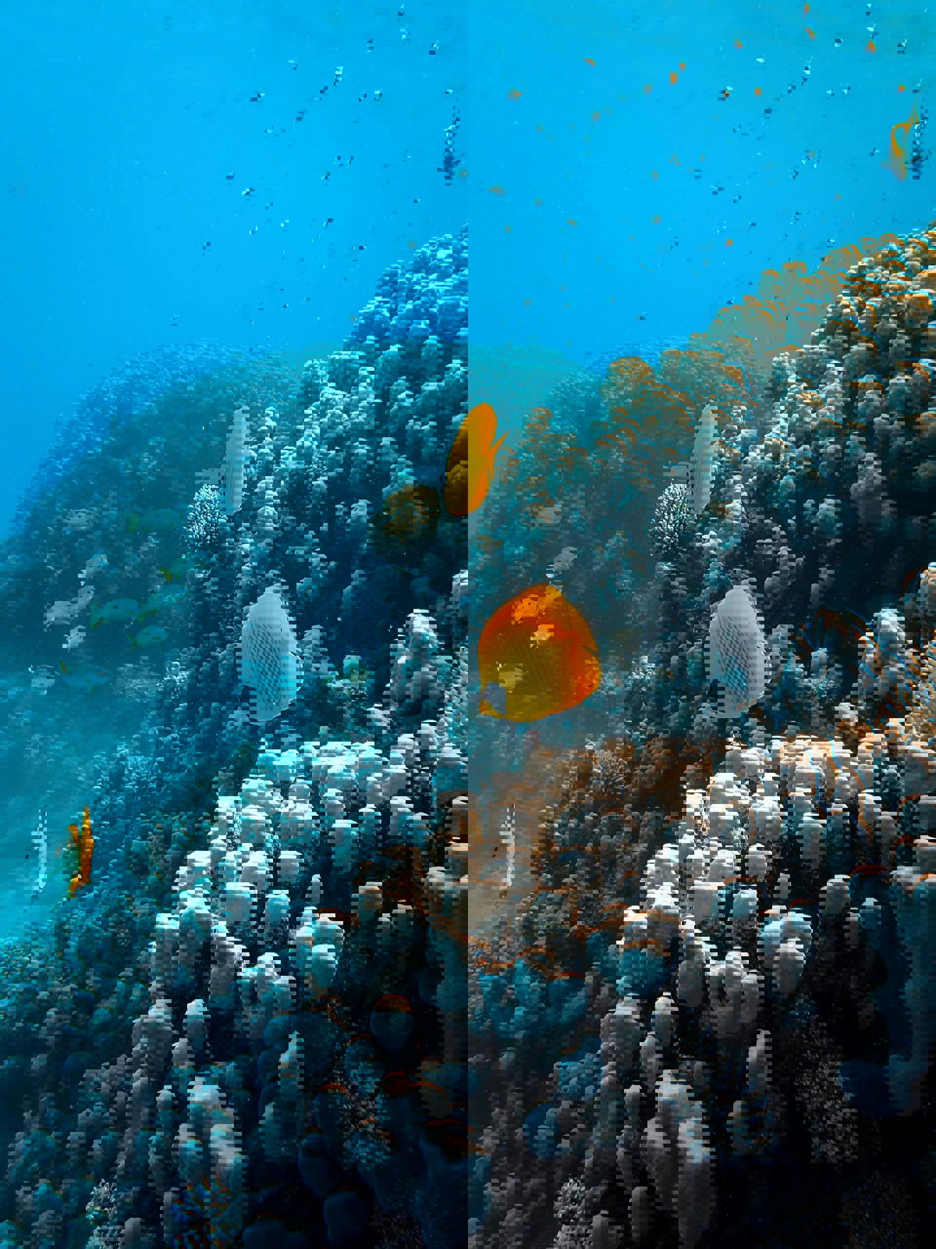 El viaje Sharm el Seij, saliendo de Madrid