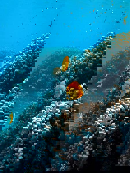 Viaje desde Madrid Sharm el Seij