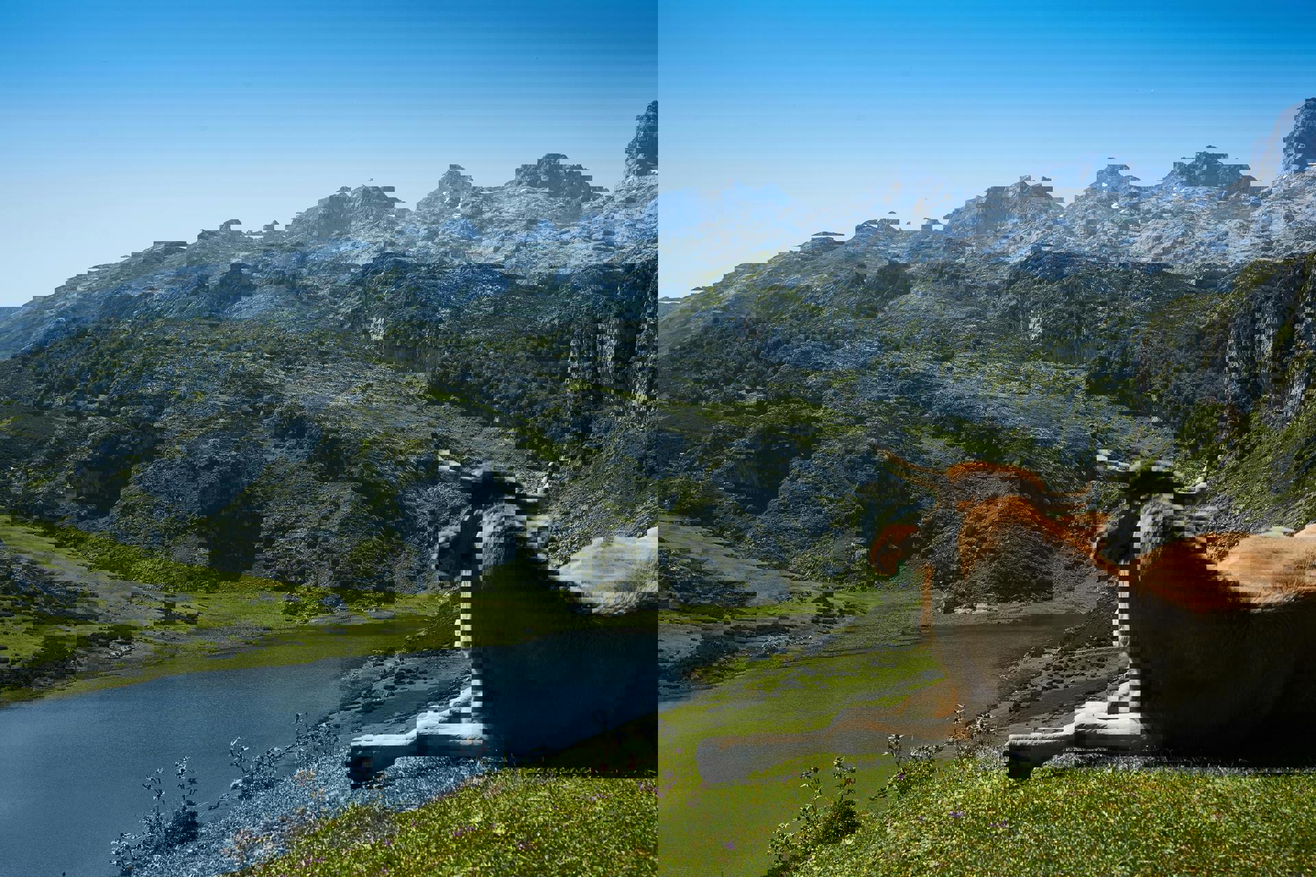 El viaje Llanes - Gijón - Ribadeo - Playa de las Catedrales - Cudillero - Ribadesella - Villaviciosa - Oviedo - Covadonga - Cangas de Onís - Cabo de Peñas - Luanco - Tazones, saliendo de Madrid