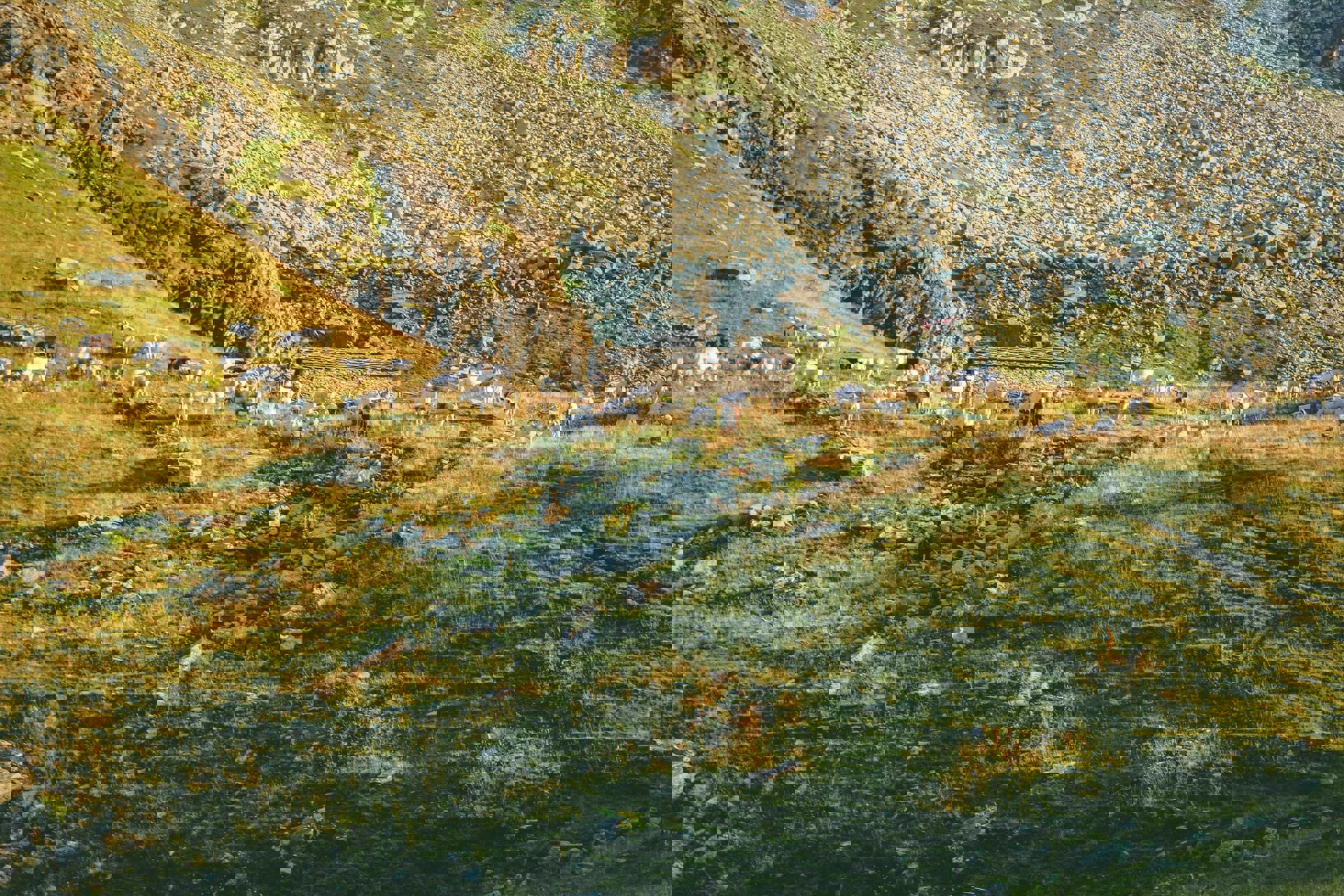 El viaje Santander - Santoña - Santillana del Mar - Castro Urdiales - Comillas - Picos de Europa - Potes, saliendo de Madrid, Valdepeñas, Ciudad Real, Toledo, Albacete, Valencia, Murcia, Elche, Alicante, Málaga, Granada, Jaén, Linares, Cádiz, El Puerto de Santa María, Jerez de la Frontera, Sevilla, Córdoba, Mérida, Badajoz, Cáceres, Plasencia