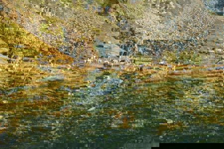 Viaje desde Madrid, Valdepeñas, Ciudad Real, Toledo, Albacete, Valencia, Murcia, Elche, Alicante, Málaga, Granada, Jaén, Linares, Cádiz, El Puerto de Santa María, Jerez de la Frontera, Sevilla, Córdoba, Mérida, Badajoz, Cáceres, Plasencia Santander - Santoña - Santillana del Mar - Castro Urdiales - Comillas - Picos de Europa - Potes