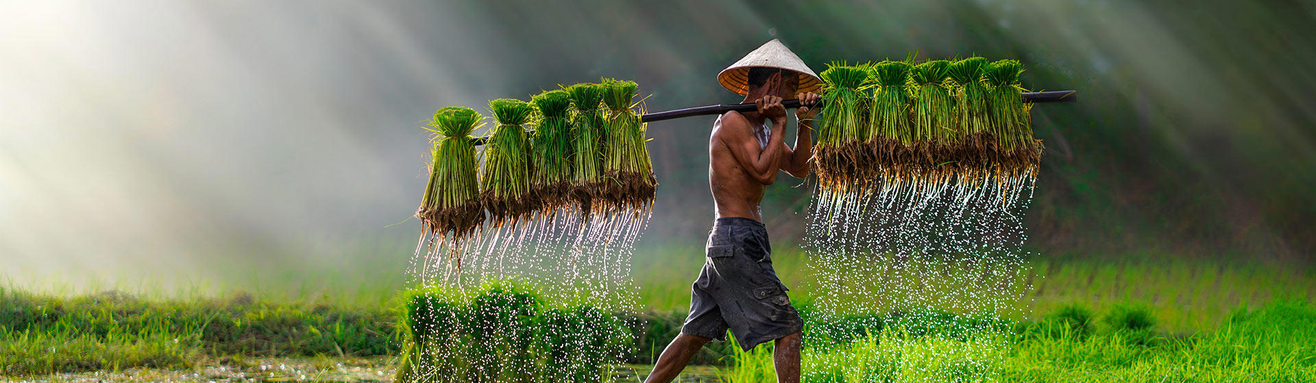El viaje Hanoi - Lao Cai - Sa Pa - Ha Long  - Da Nang - Hoi An - Hué - Mai Châu, saliendo de Madrid, Barcelona