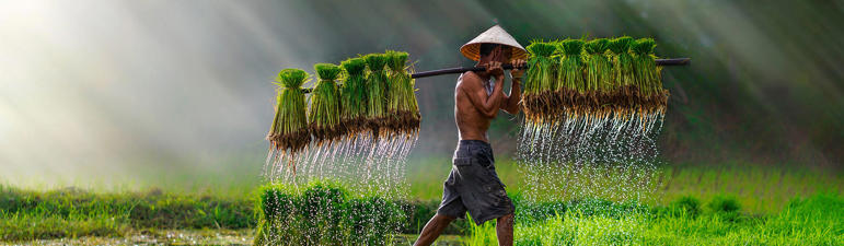Viaje desde Madrid, Barcelona Hanoi - Lao Cai - Sa Pa - Ha Long  - Da Nang - Hoi An - Hué - Mai Châu