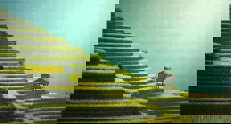 Viaje desde Madrid Hanoi - Ha Long  - Da Nang - Hoi An - Hué - Saigón (Ho Chi Minh) - Chau Doc - Siem Riep