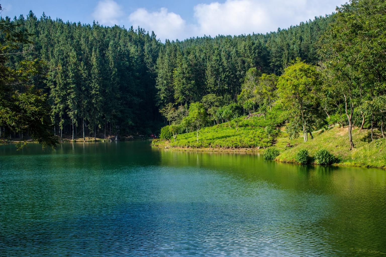 El viaje Colombo - Dambulla - Sigiriya - Habarana - Dambulla - Candi, saliendo de Madrid