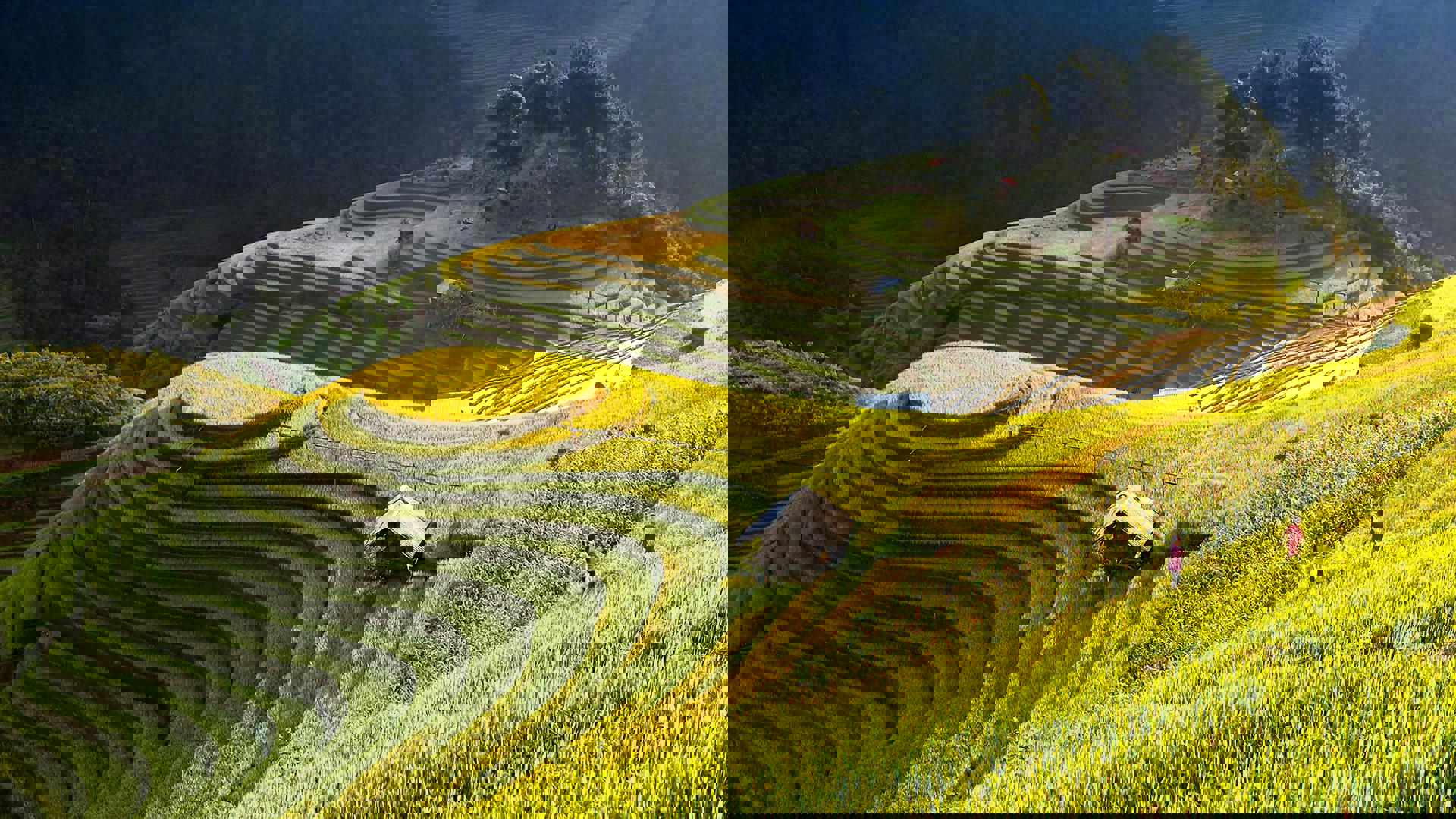 El viaje Hanoi - Ha Long  - Mai Châu - Ninh Binh - Da Nang - Hoi An, saliendo de Madrid