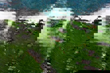 Viaje desde Madrid Saigón (Ho Chi Minh) - Delta del río Mekong - Da Nang - Hoi An - Hué - Hanoi - Ha Long 