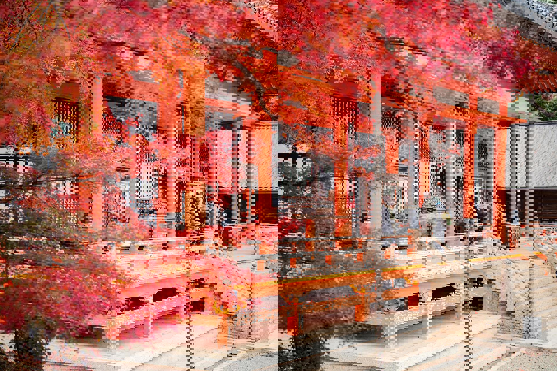 El viaje Tokio - Kioto - Osaka, saliendo de Madrid