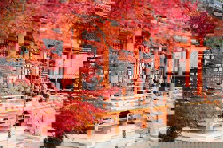 Viaje desde Madrid Tokio - Kioto - Osaka