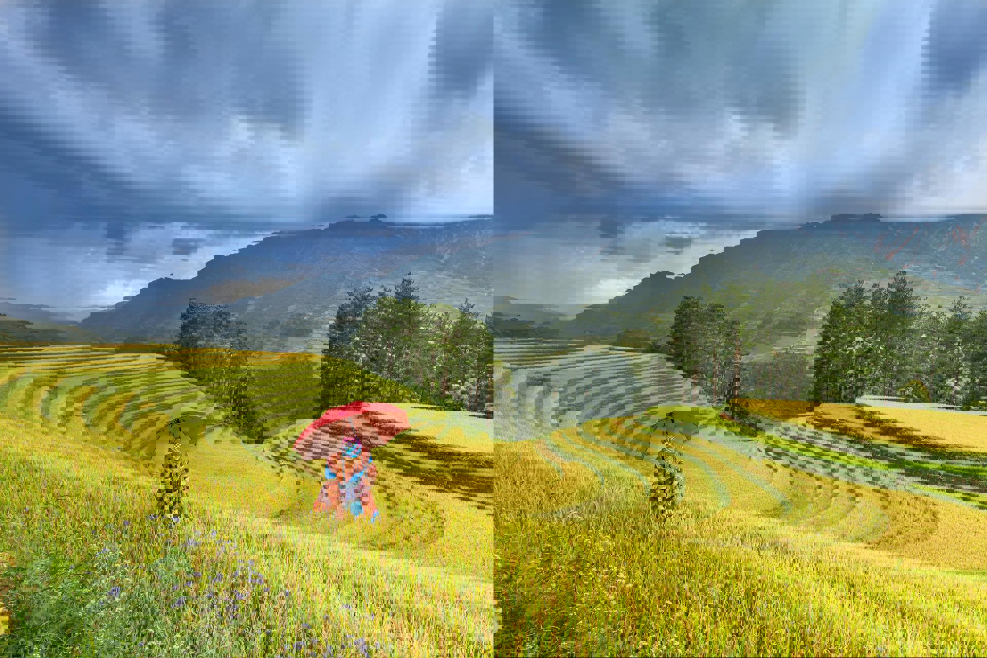 El viaje Hanoi - Ha Long  - Da Nang - Hoi An - Hué - Saigón (Ho Chi Minh) - Siem Riep, saliendo de Madrid