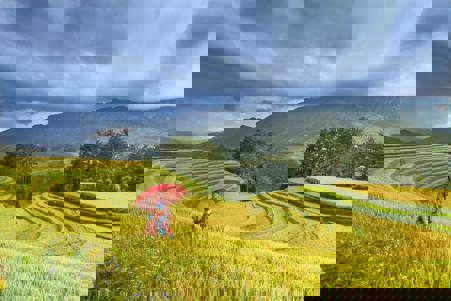 Viaje desde Madrid Hanoi - Ha Long  - Da Nang - Hoi An - Hué - Saigón (Ho Chi Minh) - Siem Riep