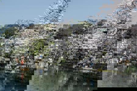 Viaje desde Madrid Osaka - Kioto - Nara* - Himeji - Kurashiki - Hiroshima - Itsukushima - Koyasan - Kawayu Onsen - Kanazawa - Shirakawago - Takayama - Nagoya  - Hakone - Tokio