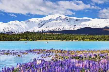 Viaje desde Madrid Auckland - Rotorua - Christchurch - Lake Tekapo - Te Anau - Queenstown