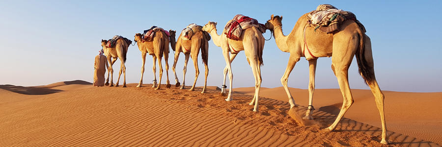 El viaje Mascate - Nizwa - Bahla - Ibra - Wadi Bani Khalid - Sur, saliendo de Sin transporte