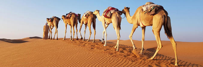 Viaje desde Sin transporte Mascate - Nizwa - Bahla - Ibra - Wadi Bani Khalid - Sur