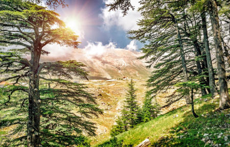 Тур Beirut - Deir el Qamar - Beit ed-Dine - Baalbek - Anjar - Biblos - Trípoli - Batroun - Tiro - Фото 7
