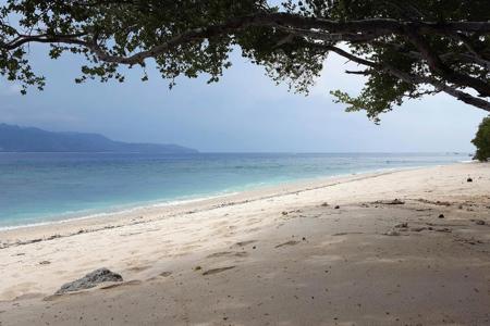 Тур Yakarta - Borneo - Yogyakarta - Ubud - Gili Air - Jimbaran - Bukit Peninsula - Фото 3