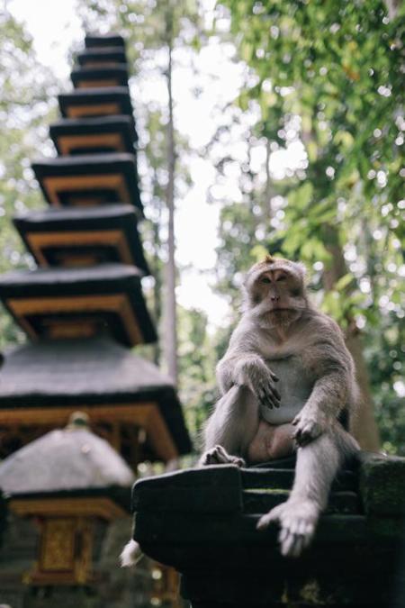 Тур Ubud - Lombok - Gili Air - Seminyak - Фото 1