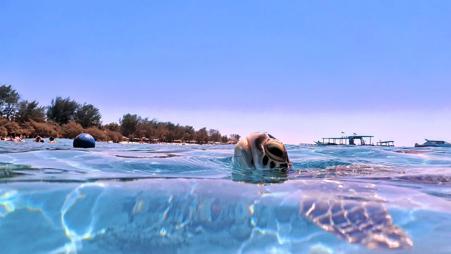 Тур Ubud - Lombok - Gili Air - Seminyak - Фото 3