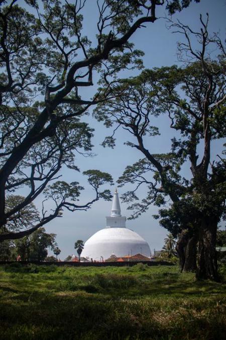 Тур Dambulla - Kandy - Nuwara Eliya - Parque Nacional de Yala - Colombo - Фото 4